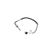 NRF Exhaust Gas Temperature Sensor before soot partic 707064