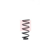 Apec Rear Suspension Coil Spring ACS1537
