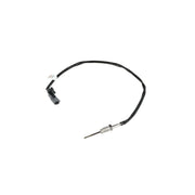 NRF Exhaust Gas Temperature Sensor before soot particulate fi 707443
