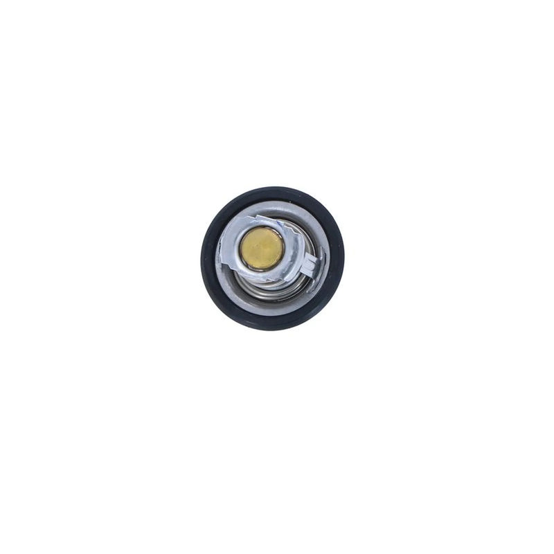 NRF Thermostat,Coolant 725323