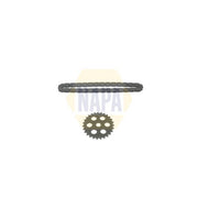 NAPA Oil Pump Drive Chain Kit NCK4229