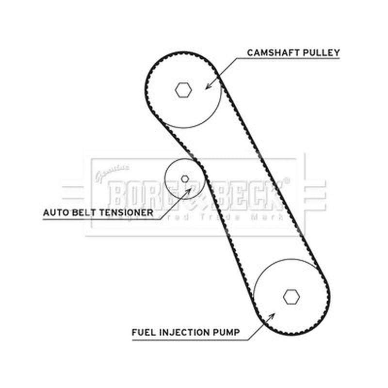Borg & Beck Timing Belt & Water Pump Kit BTW1049