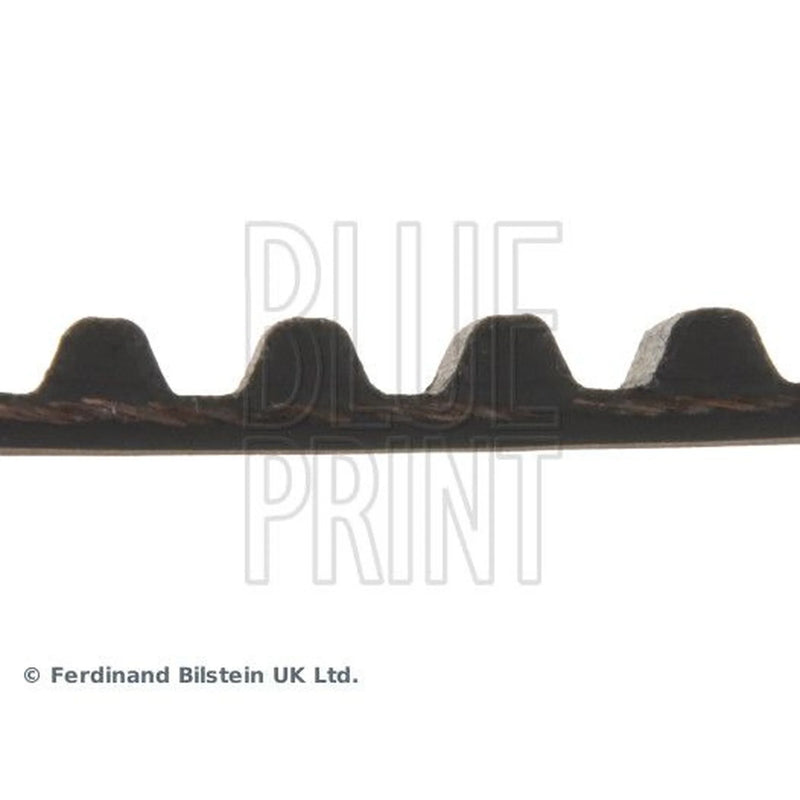 Blue Print Timing Belt Cambelt 164 Teeth ADM57507