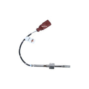 NRF Exhaust Gas Temperature Sensor before soot particu 707133