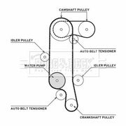 Borg & Beck Timing Belt & Water Pump Kit BTW1028
