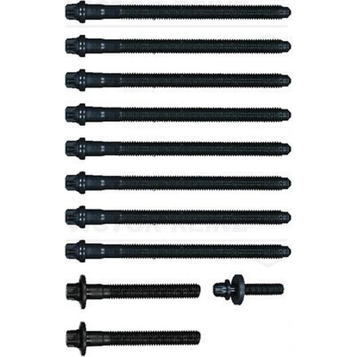 Victor Reinz Cylinder Head Bolt Set 14-10026-01