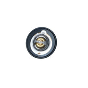 NRF Thermostat,Coolant 725152