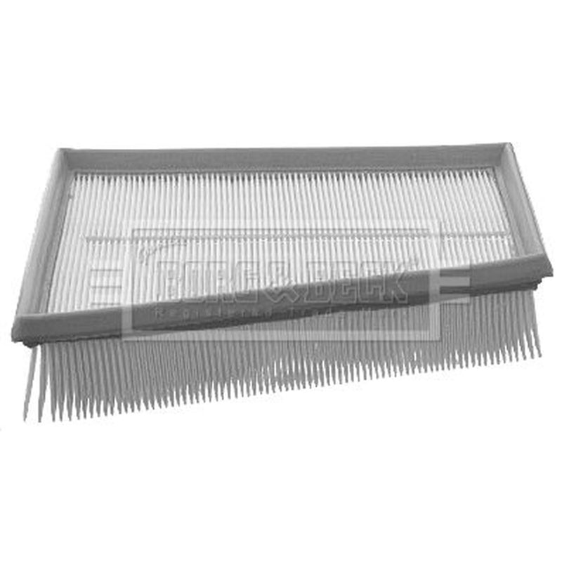 Borg & Beck Engine Air Filter BFA2010