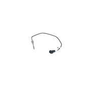 NRF Exhaust Gas Temperature Sensor before soot particulate filt 707200