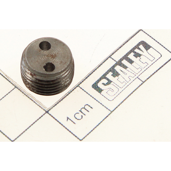Sealey Plug (12mm)