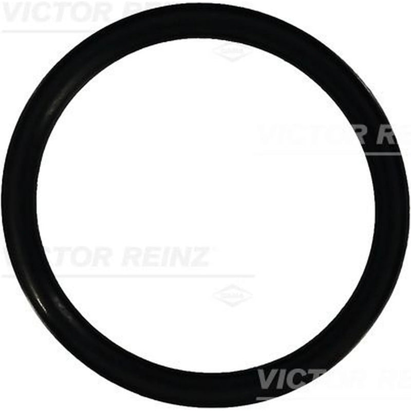 Victor Reinz Sealing Ring Gasket 40-76933-10