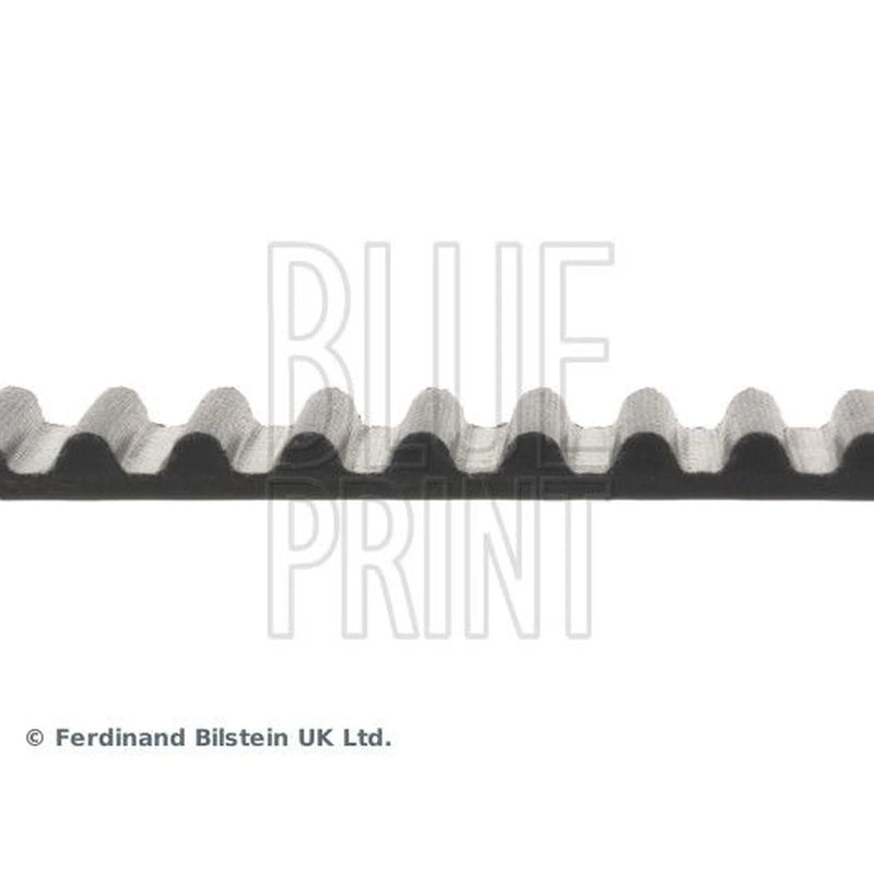 Blue Print Timing Belt Cambelt 117 Teeth ADC47521
