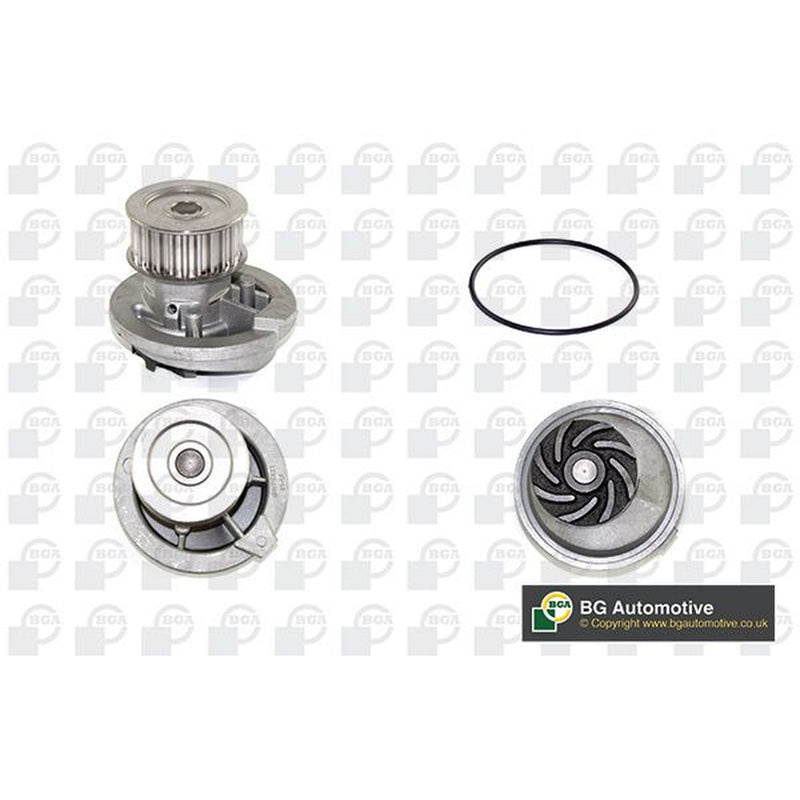 BGA Engine Cooling Water Pump CP2894