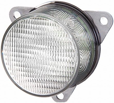 Hella 2NE 011 172-087 Rear Fog Light