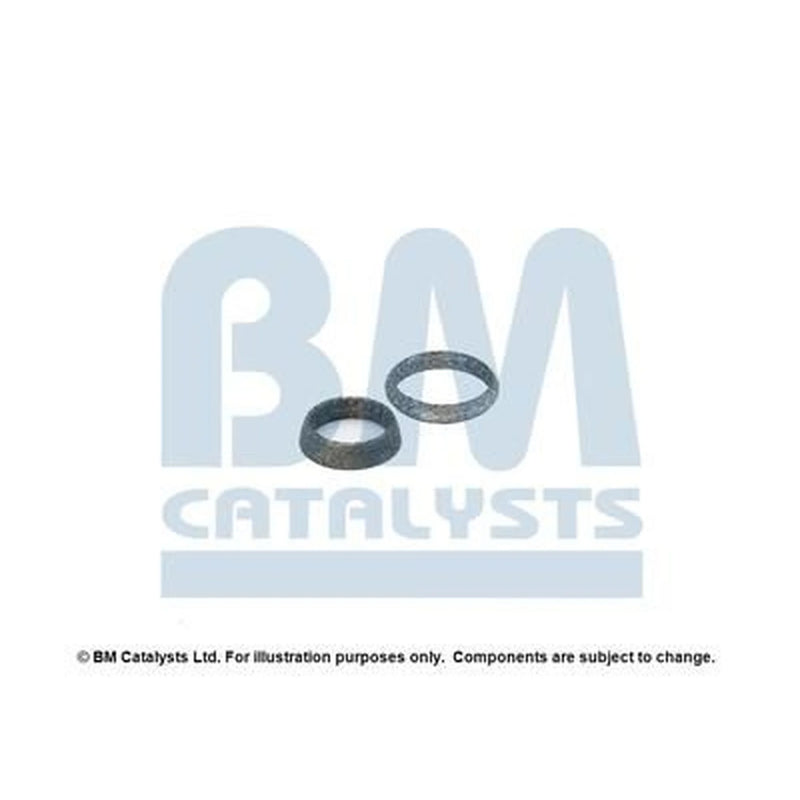 BM Catalysts Fitting Kit FK80142A FK80142A