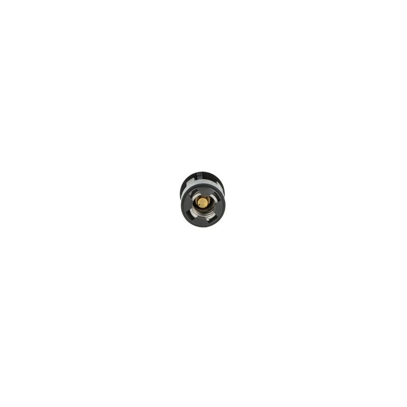 NRF Thermostat,Coolant 725133