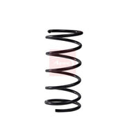 Apec Front Suspension Coil Spring ACS2300