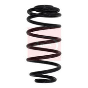 Apec Rear Suspension Coil Spring ACS1028