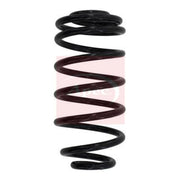 Apec Rear Suspension Coil Spring ACS1028