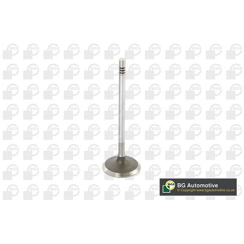 BGA Engine Intake Valve Head V229666