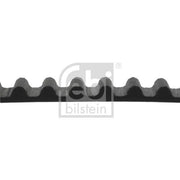 Febi Timing Belt Cambelt 103 Teeth 17222