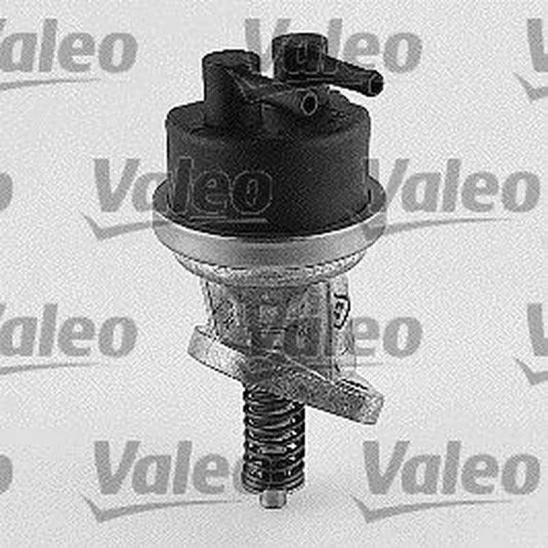 Valeo Fuel Pump Assembly 247067