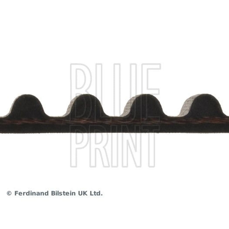 Blue Print Timing Belt Cambelt 121 Teeth ADC47541