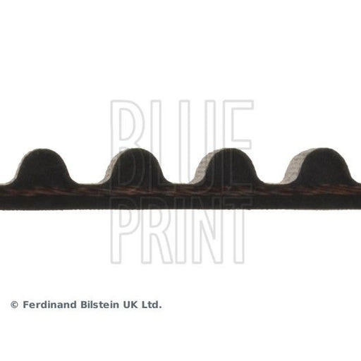 Blue Print Timing Belt Cambelt 121 Teeth ADC47541