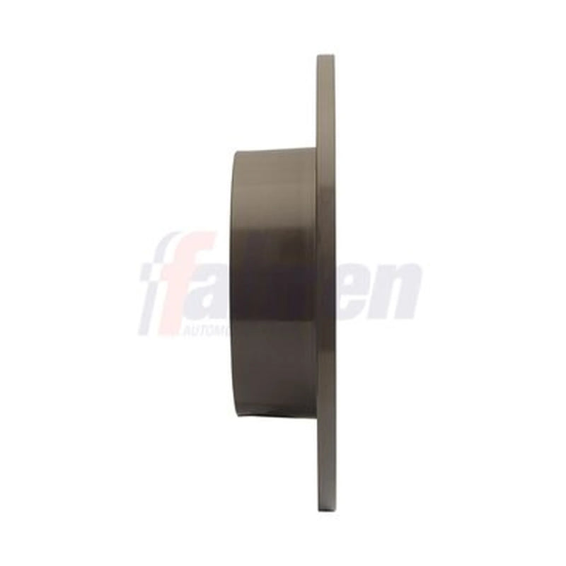 Fahren 2 x Solid Rear Brake Discs FBD6098