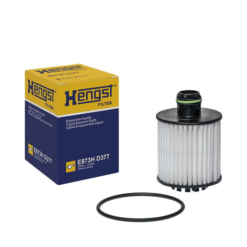 Hengst Engine Oil Filter E873H D377