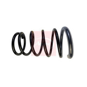Apec 2 x Suspension Springs ACS1819