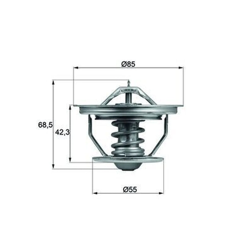 Mahle Thermostat,Coolant TX 57 79