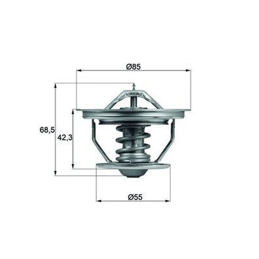Mahle Thermostat,Coolant TX 57 79