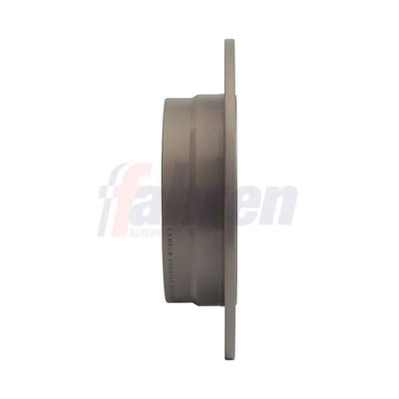 Fahren 2 x Solid Rear Brake Discs FBD6186