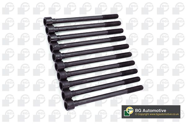 BGA Cylinder Head Bolt Set M10