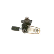 Bosch Fuel Pump Assembly 0 440 008 075