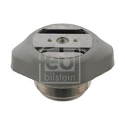 Febi Automatic Transmission Mounting both sides 31980