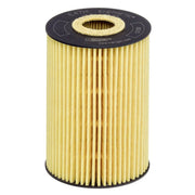 Hengst Engine Oil Filter E47H D112