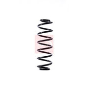 Apec Front & Rear Suspension Springs ACS1474