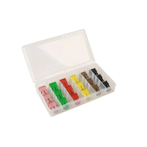 Connect Assorted Female PAL Fuses 18pc - CPL