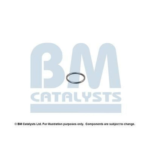 BM Catalysts Fitting Kit FK80194A FK80194A