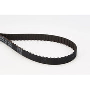 Continental CTAM Timing Belt Cambelt 123 Teeth CT643