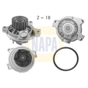 NAPA Engine Cooling Water Pump NWP1016