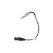 NRF Exhaust Gas Temperature Sensor after soot particulate filt 707137
