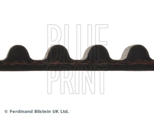 Blue Print ADC47541 Timing Belt