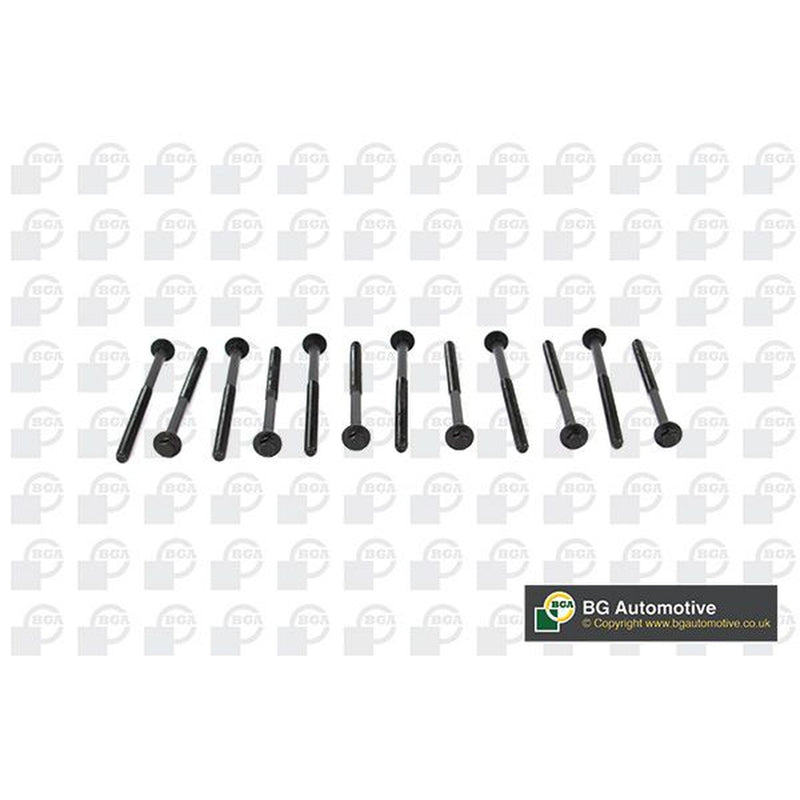 BGA Cylinder Head Bolt Set M12 BK2304