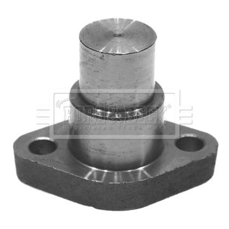Borg & Beck Steering Kingpin BKP5830