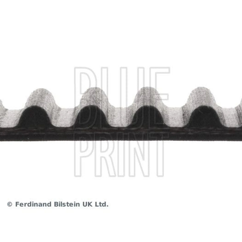 Blue Print Timing Belt Cambelt 116 Teeth ADC47526