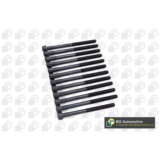 BGA Cylinder Head Bolt Set M12 BK2373