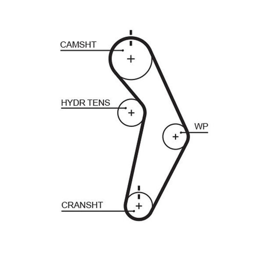 Gates Timing Belt Cambelt 112 Teeth T245